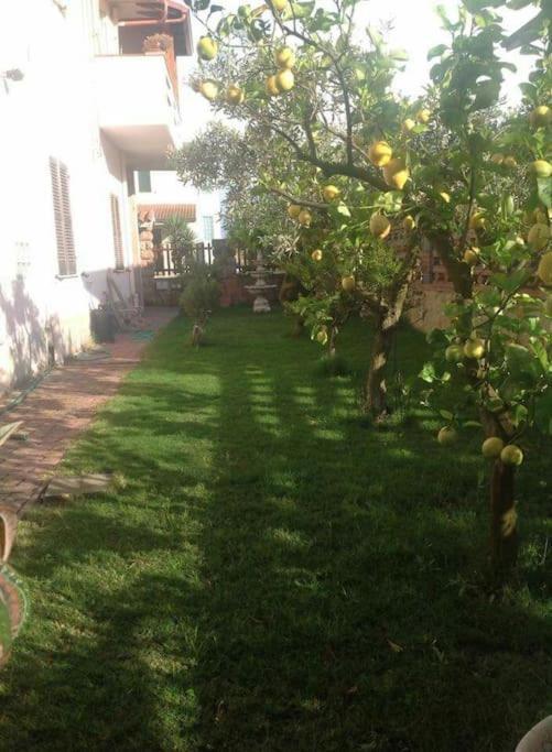 Su Suergiu Villa San Giovanni Suergiu Exterior photo